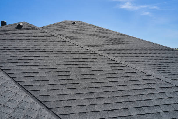 Best Roof Leak Repair  in Laurens, SC